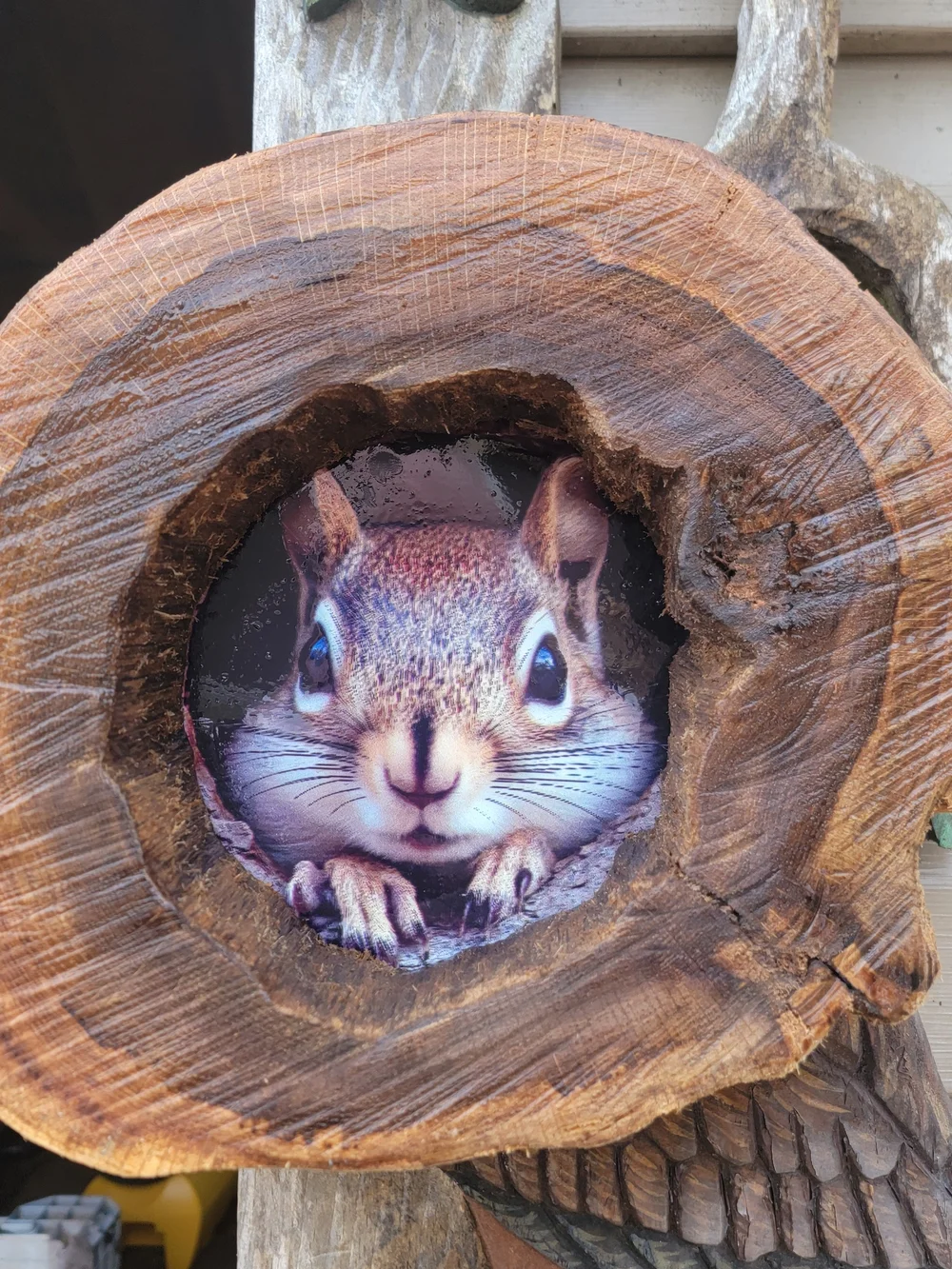 Cute Brown Chipmunk Small Pet Wall Decor